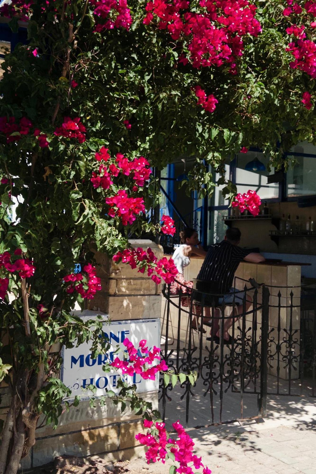 One More Day Hotel Turgutreis Bagian luar foto
